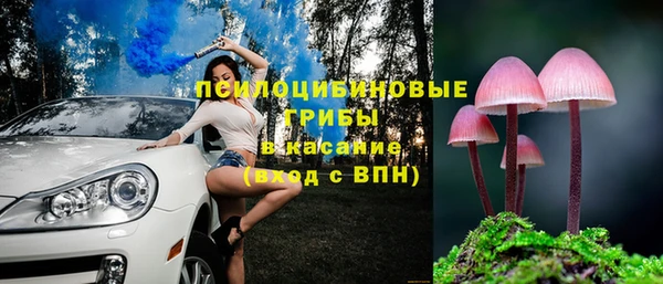гашик Лиски