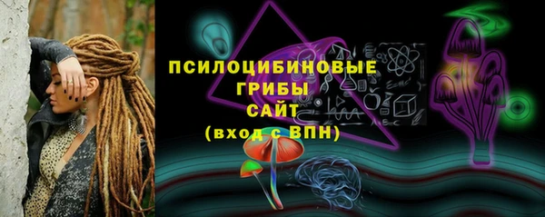 гашик Лиски