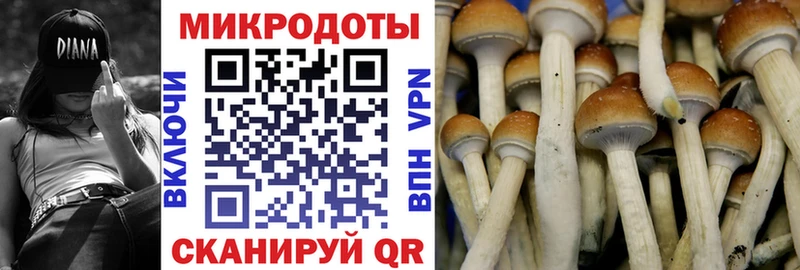 Псилоцибиновые грибы Psilocybine cubensis Димитровград