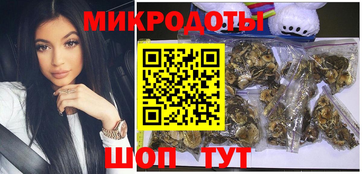 Галлюциногенные грибы Psilocybe Димитровград