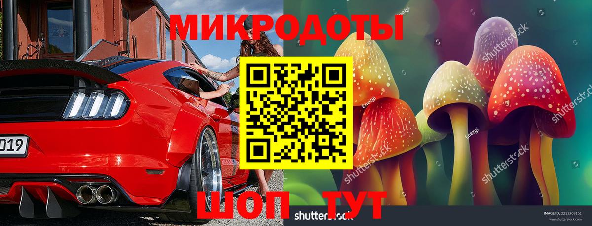 Димитровград  Псилоцибиновые грибы MAGIC MUSHROOMS  Галлюциногенные грибы ЛСД  Вход с VPN 