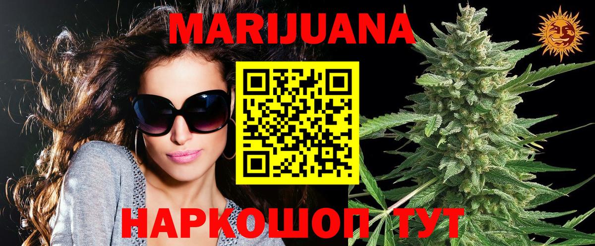 Каннабис OG Kush Димитровград